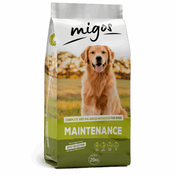 Migos Maintenance 20kg