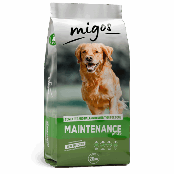 Migos Maintenance plus 20kg